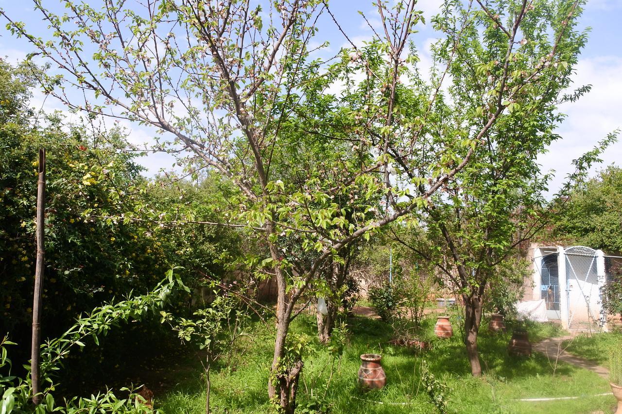 Appartement Le jardin d'habiba à Rhorm el Alem Extérieur photo