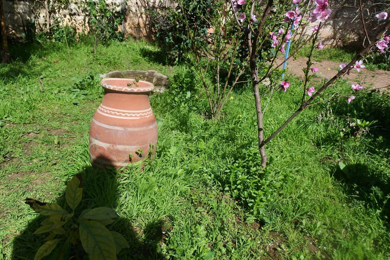 Appartement Le jardin d'habiba à Rhorm el Alem Extérieur photo